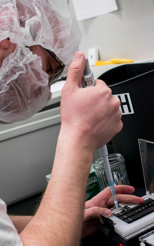 Man working in the lab