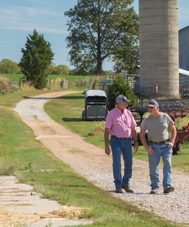 people walking down the road