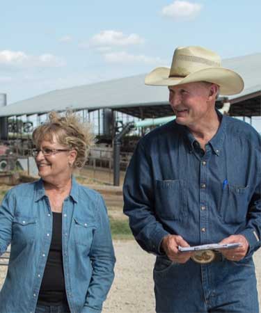 people walking around the farm