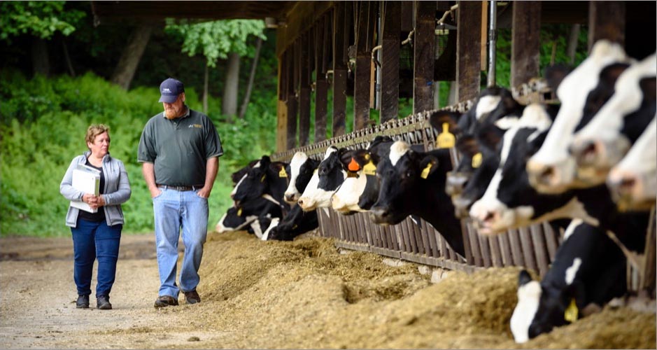 Farmers walking the farm