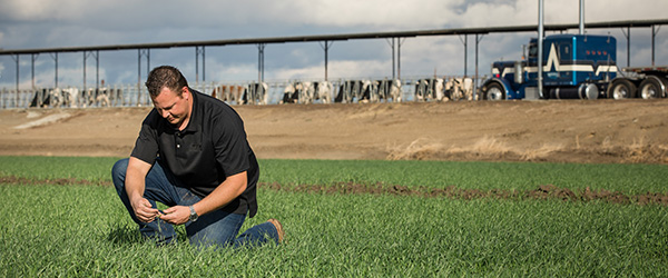 Healthy soil isn’t just dirt — it’s one of dairy farmers’ secrets to a healthier planet