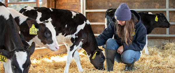 Milked with love: How dairy farmers make ethical dairy farming their priority