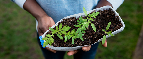How Dairy Farmers upcycle to save the planet (and you can too)