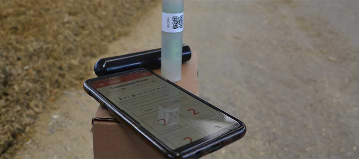 Cattle scans work to streamline on-farm cow care