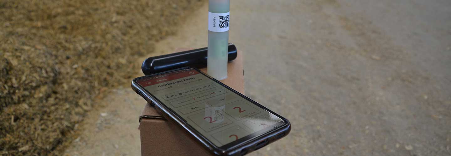 Cattle scans work to streamline on-farm cow care