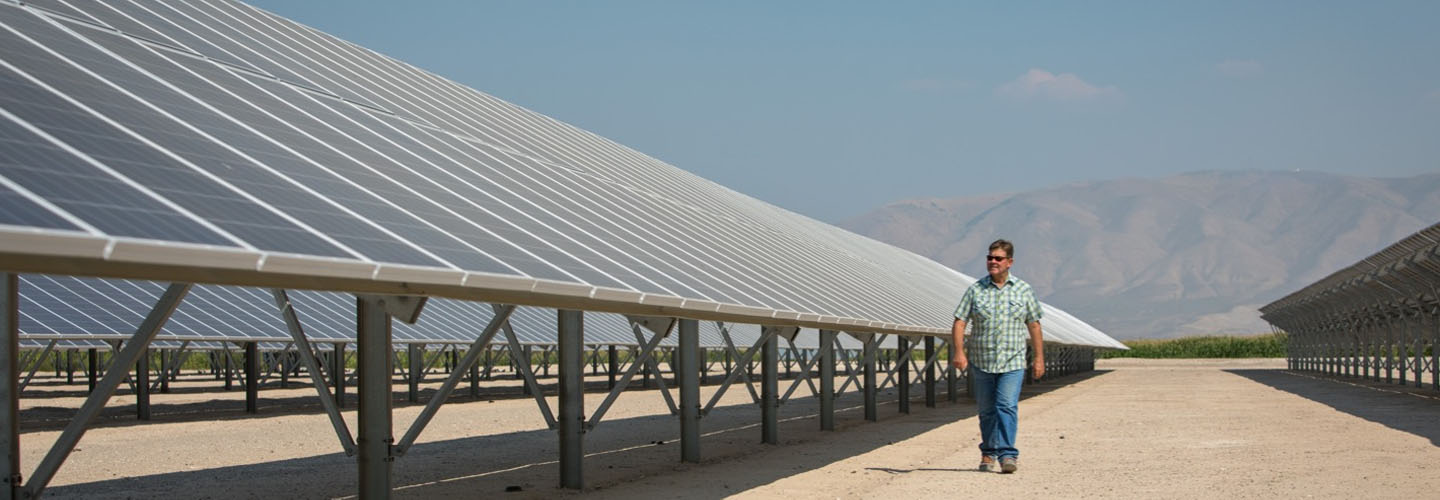 Man walking by the solar panels