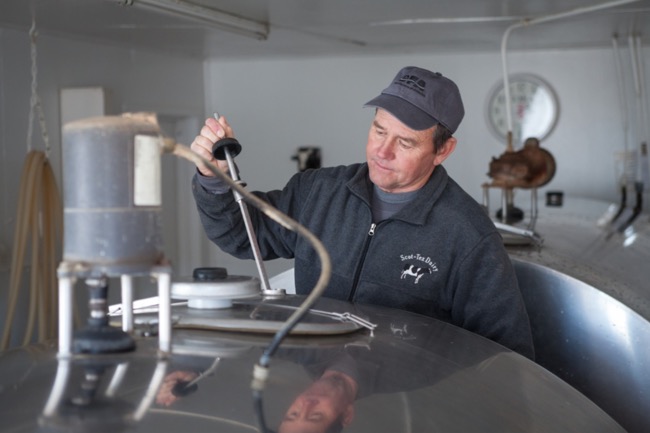 Farmer checking on the milk in the tanks