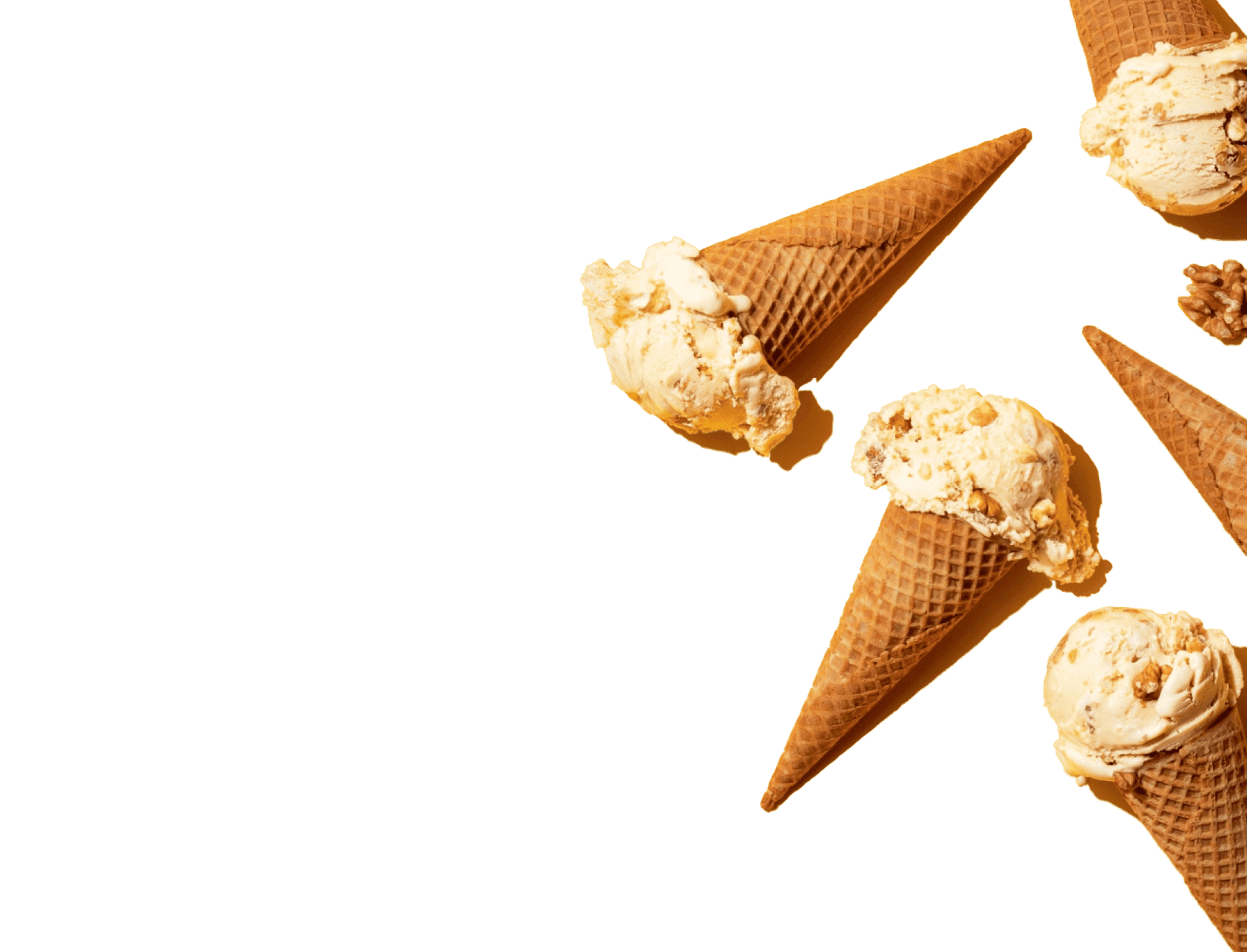 Find our dairy brands for your table