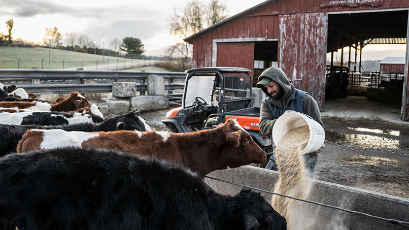 251103_MorrillFarmDairy_22_806x453px.jpg