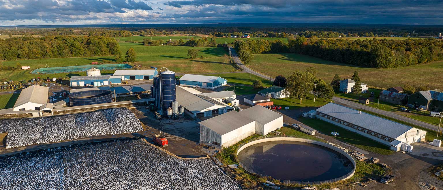 DAIRY SUSTAINABILITY: HOW SUSTAINABLE IS YOUR DAIRY CHOICE?