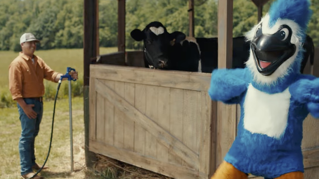 HOW WE KEEP THE COWS COOL