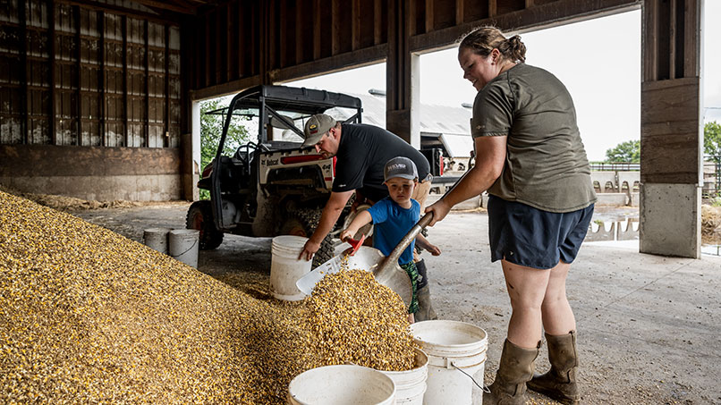 250724_CornBeltDairy_102_806x453px.jpg