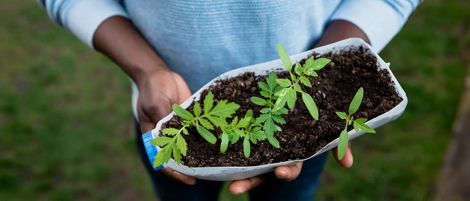How dairy farmers upcycle to save the planet (and you can too)