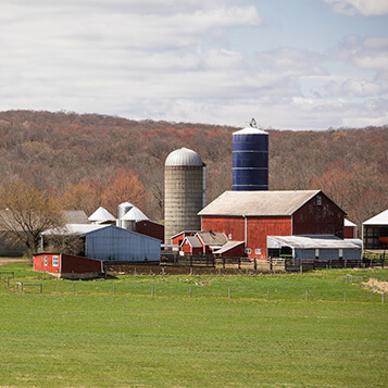 Smiley Family Farm