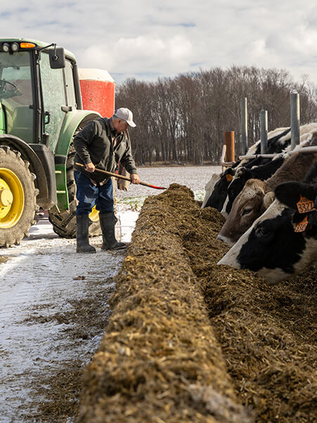 Feeding the herd doesn’t stop for snow. Dairy cows enjoy meticulously planned and prepared meals no matter the weather.