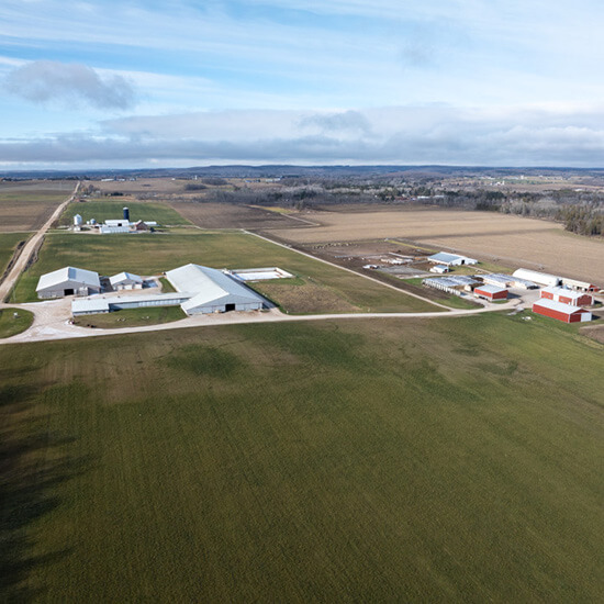 Farm