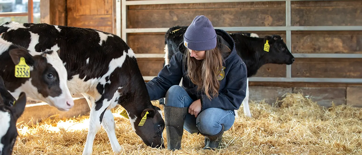 Milked with love: How dairy farmers make ethical dairy farming their priority