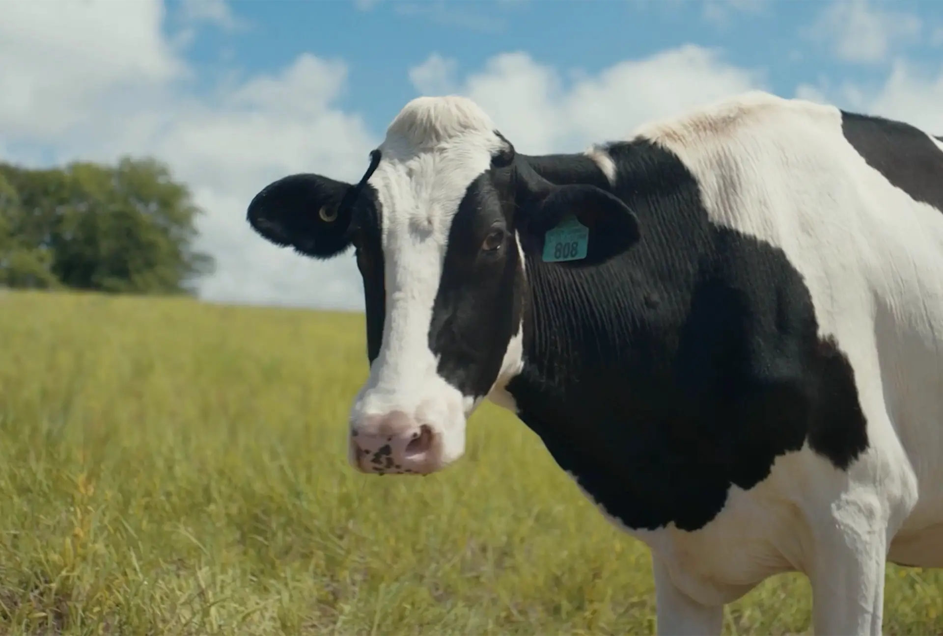 Bokira qiz bilan jinsiy aloqa Rus qattiq porno onlayn