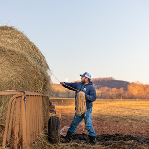 Tending to the land