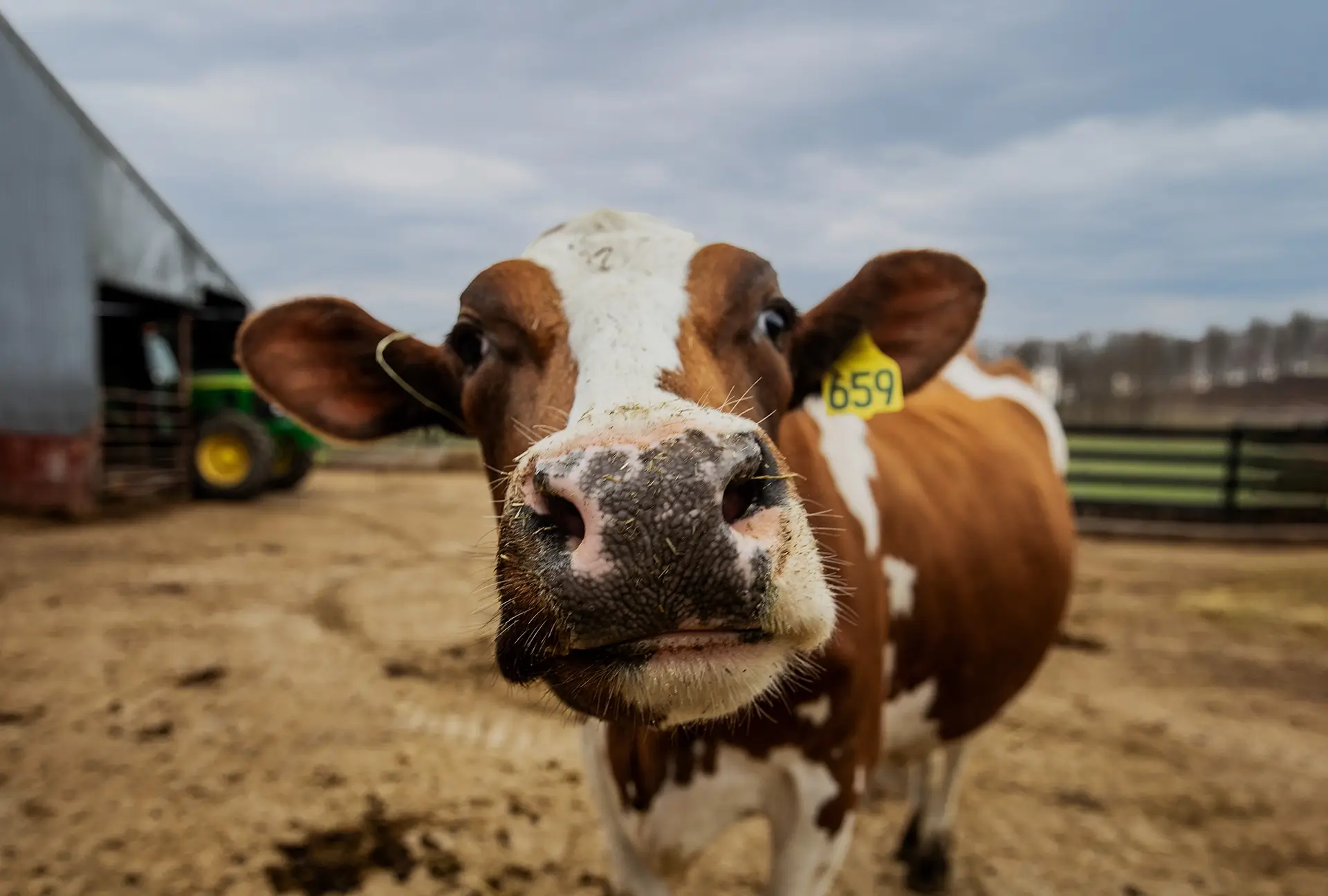 You’ve wandered off the farm.