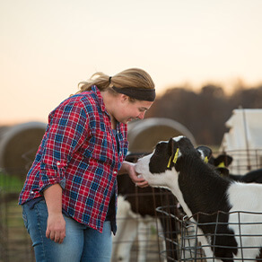 Morning chores and breakfast