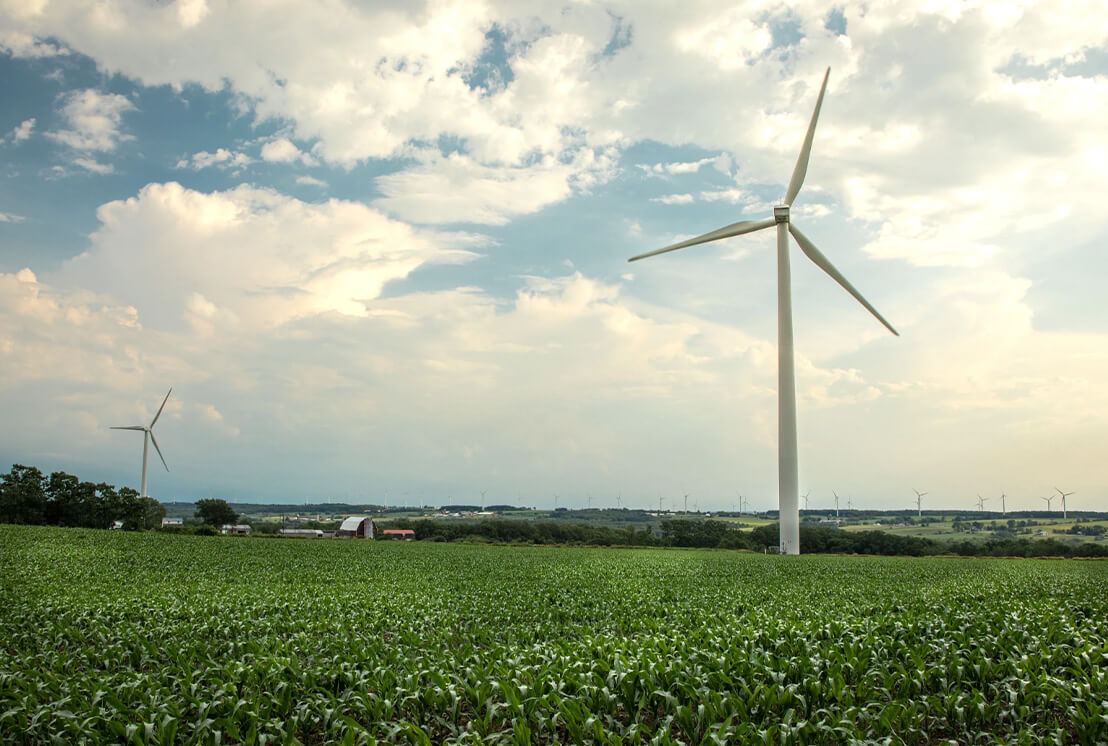 Sustainable farming (before it was cool)