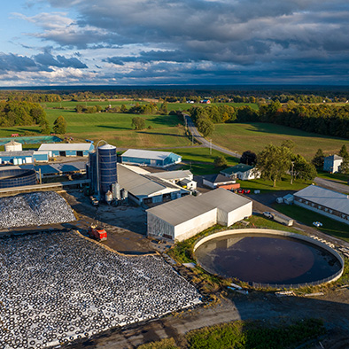 DAIRY SUSTAINABILITY: HOW SUSTAINABLE IS YOUR DAIRY CHOICE?