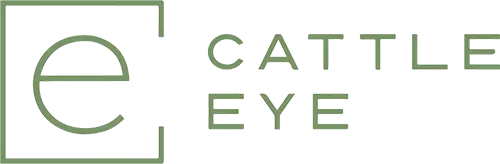 Cattle Eye