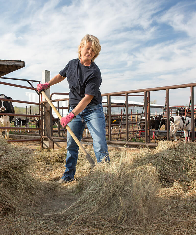 A day in the life of our farmers